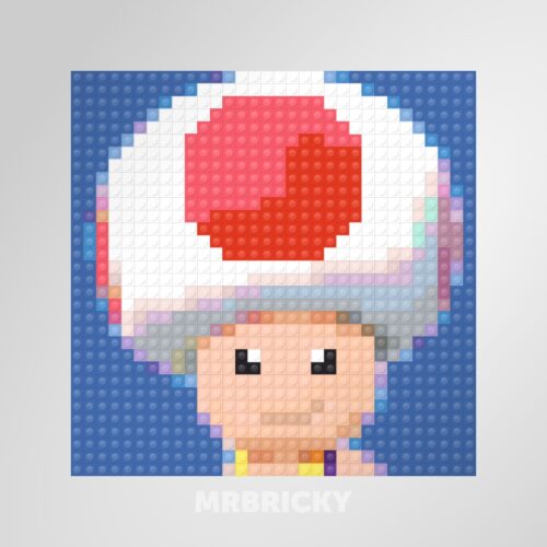 Super Mario - Toad - Brick art display